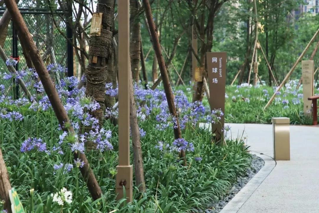 成都最有潜力的花园,成都是个大花园