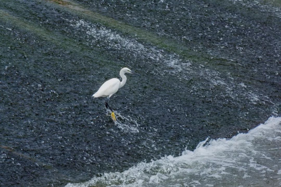 深圳好玩景点地铁路线,深圳好玩免费景点地铁直达的