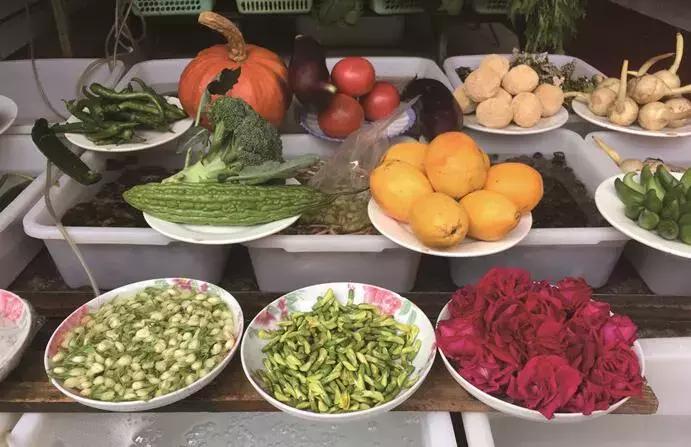 既然春天留不住就迎接夏天吧,既然春天留不住