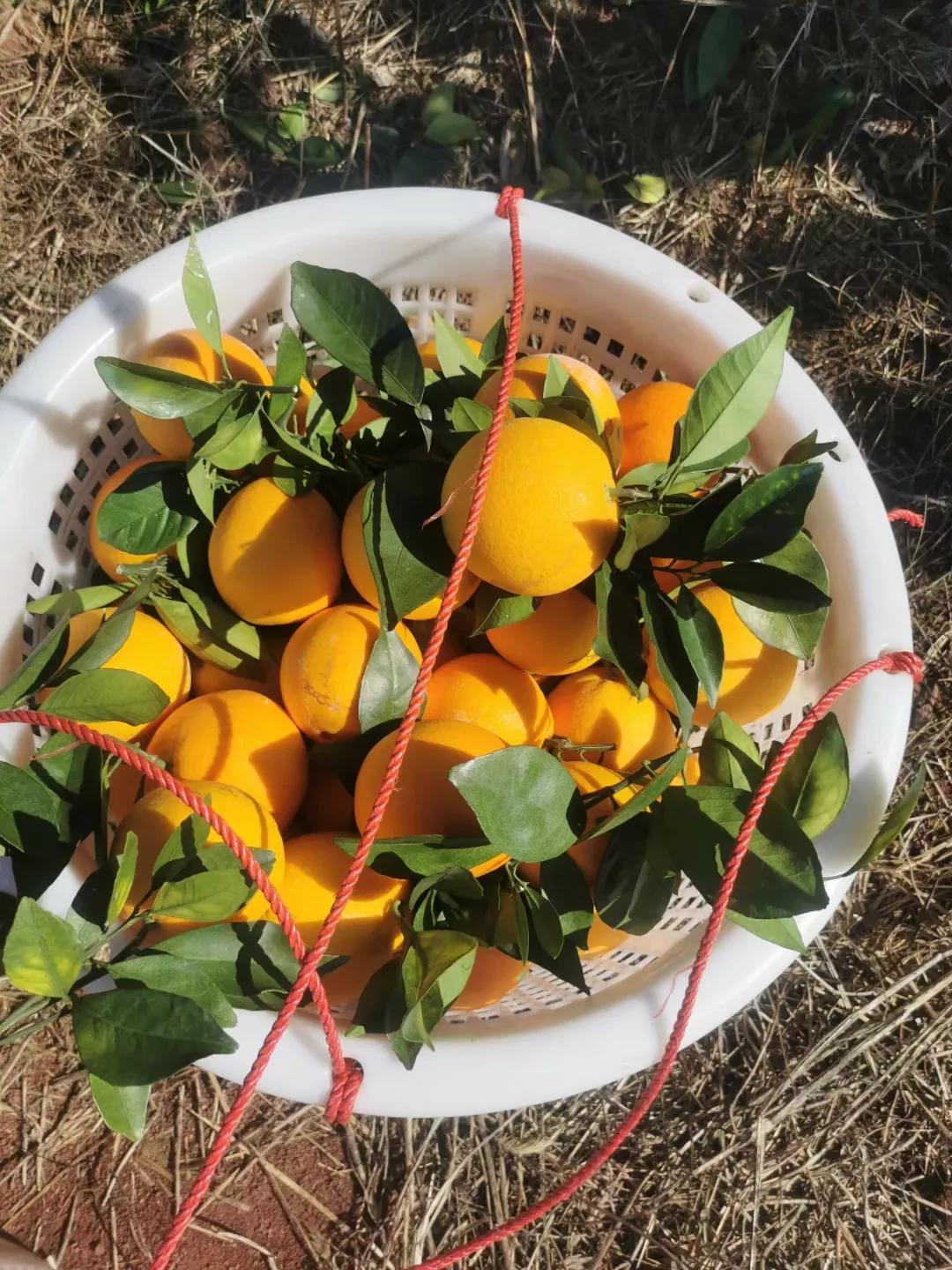 富士康员工最新爆料,富士康内部员工爆料最新