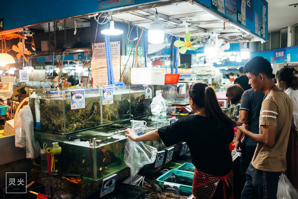 坐轮船多少钱三亚,去三亚坐轮渡7座车多少钱