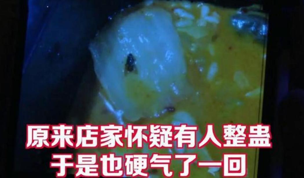 外卖商家被差评说有个苍蝇怎么办,外卖里有苍蝇理赔完还给差评