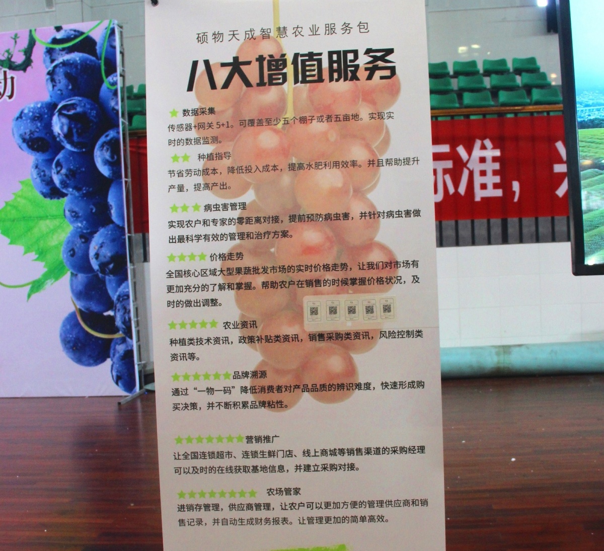 插上农业物联网的翅膀,慈溪葡萄能否扭转产业局面?