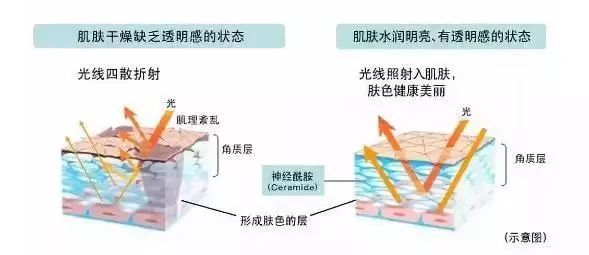 国货修护祛痘印护肤品推荐,堪比大牌平价护肤品