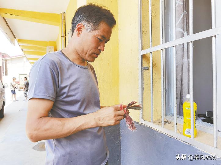 夏粮收购为今年粮食稳产保收,夏粮收购总量保持高水平