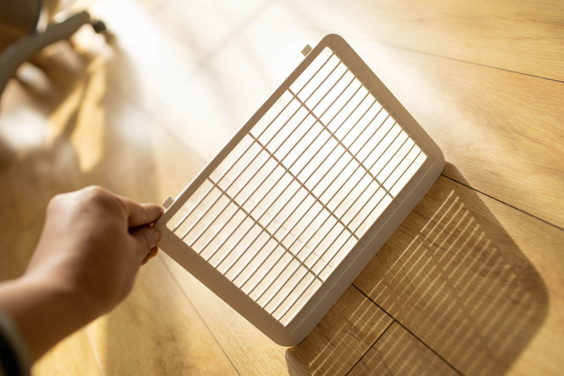 抵御南方湿冷的魔法攻击,小而强悍的伊岛*湿机除**