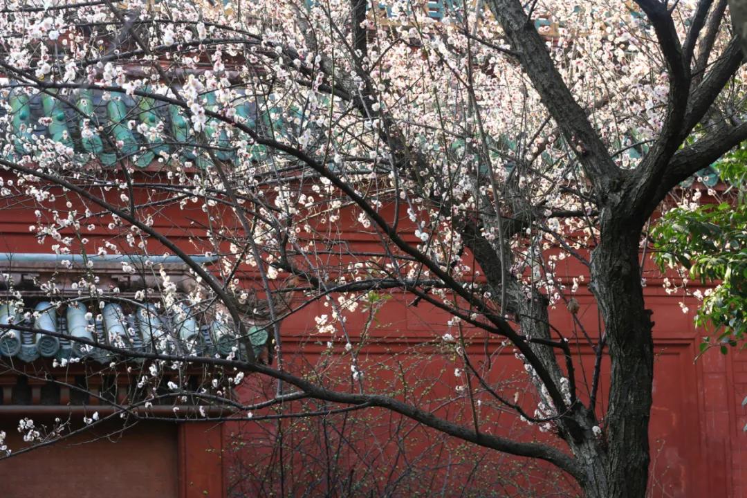 崇州罨画池在哪个位置,崇州罨画池值不值得去