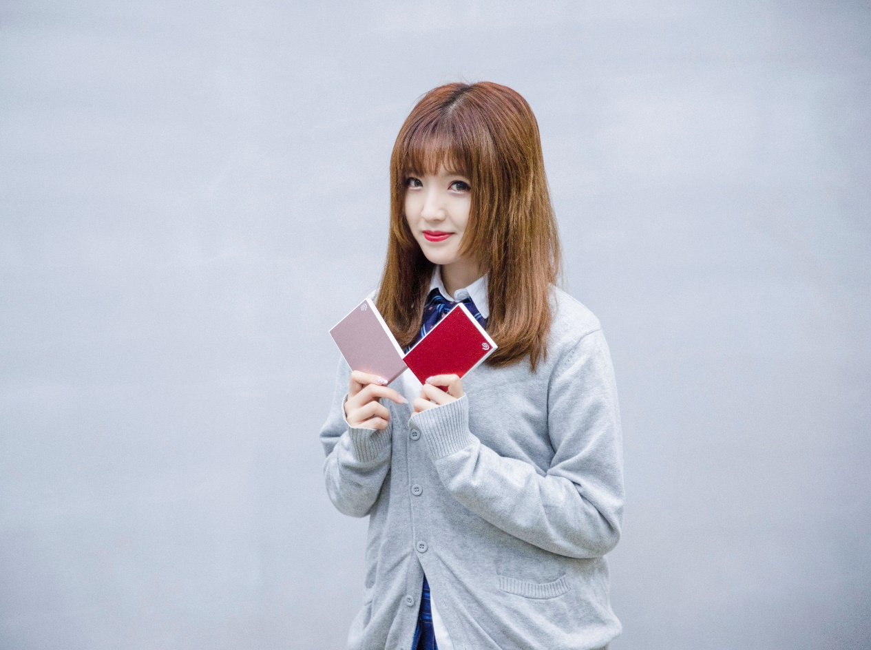 全新机械硬盘希捷,希捷的高端硬盘