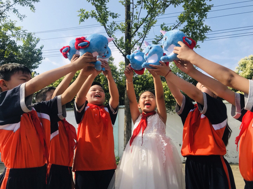 小海豚公益活动策划方案,小海豚计划直播