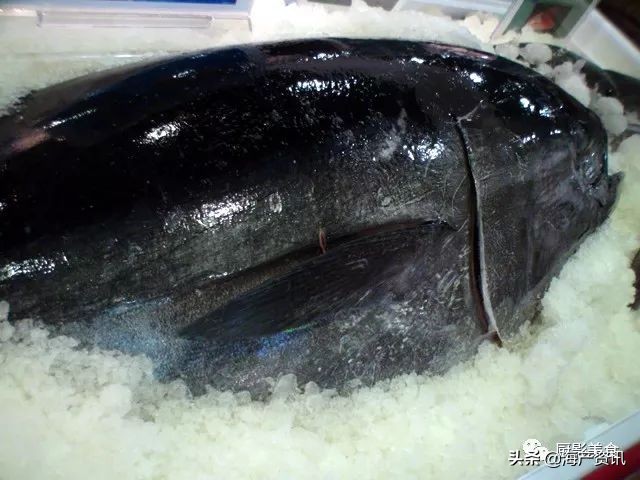 这些诱人的美食你吃过吗,世界上顶级海鲜大全你吃过几种