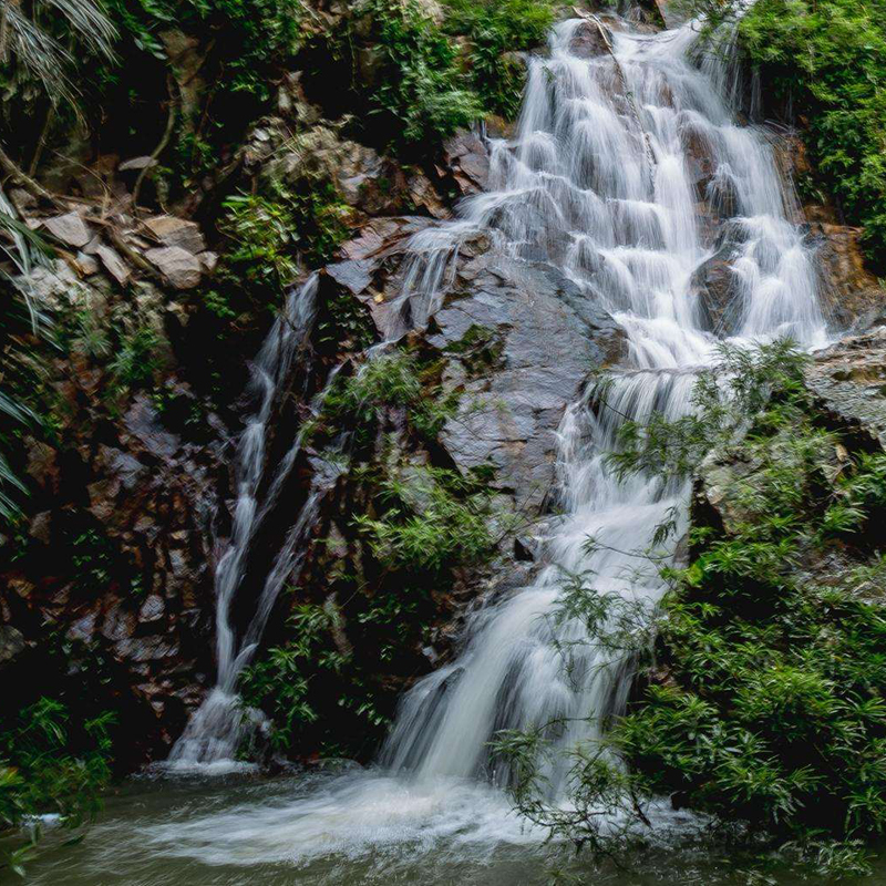 新手养龟买多大龟比较好养,新手养龟哪种龟最好养
