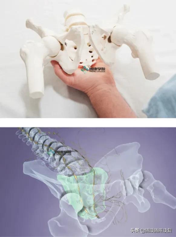 骶骨疼痛手法处理,骶骨后翘正骨手法