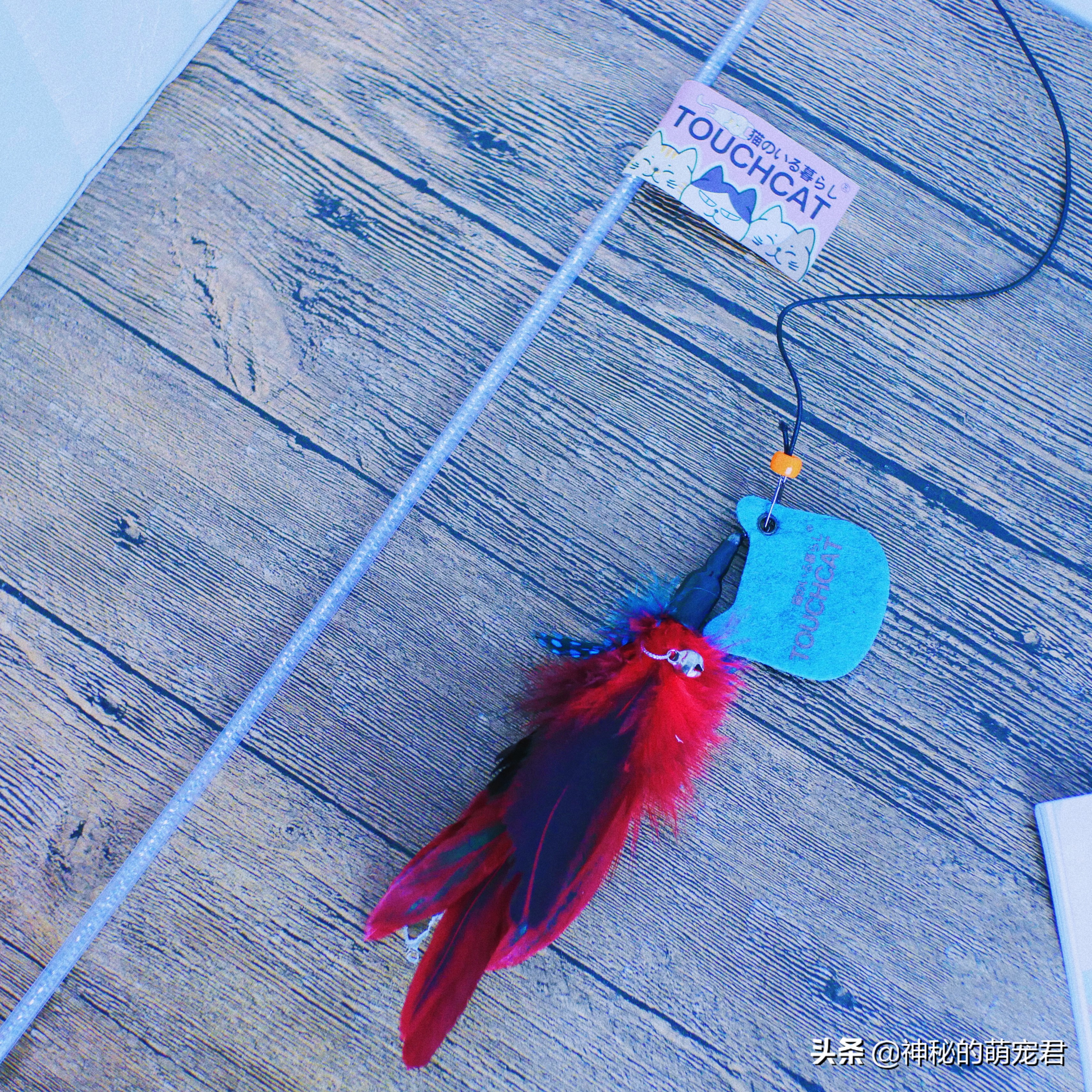 什么逗猫棒猫咪会玩,怎么做猫咪玩的逗猫棒