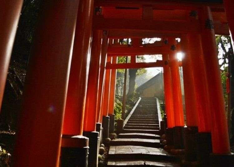 伏见稻荷大社简介,伏见稻荷大社参数