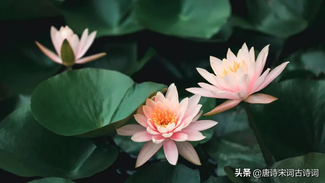 古人的谐音梗,古人竟然也玩谐音梗