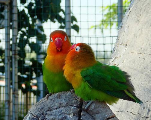 7个小技巧,帮助你“侦测”某人是否在说谎:你的第六感其实很准