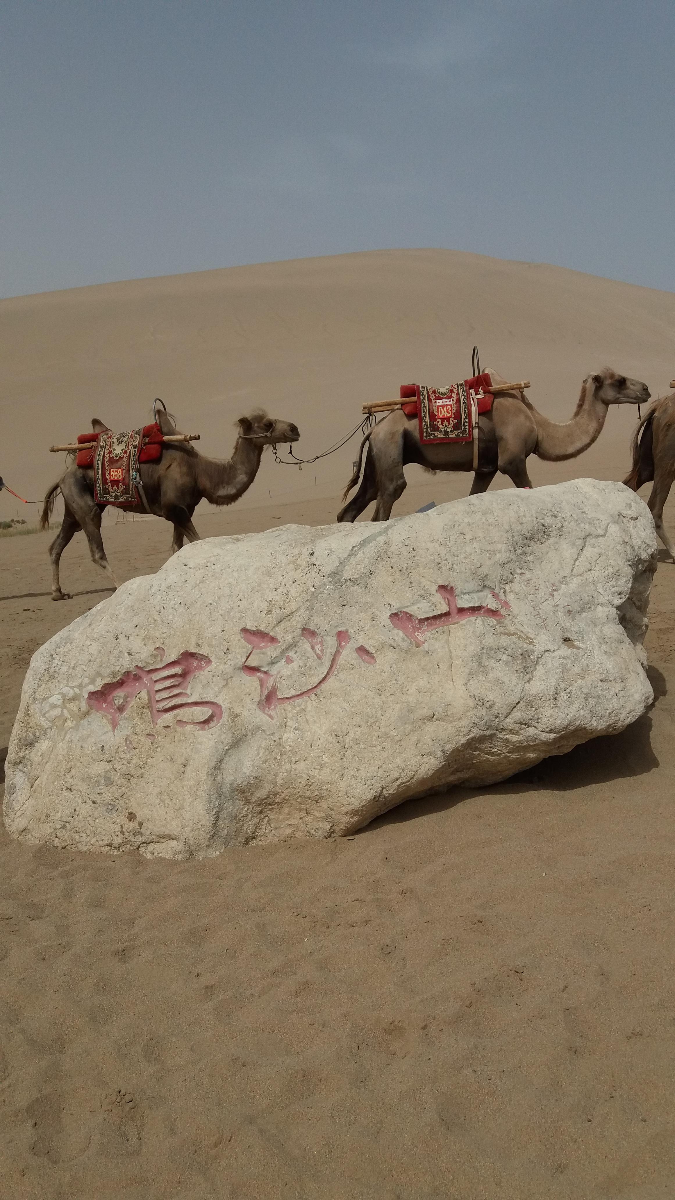 cnn评选的中国最美的30个地方,美国cnn评出中国40个最美丽的地方