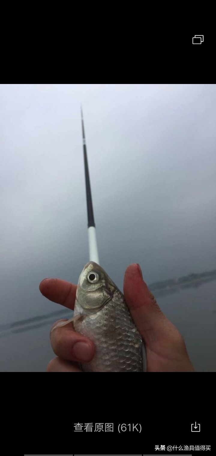 冬天钓鲫鱼小综合鱼竿,寒潮大风天钓鱼