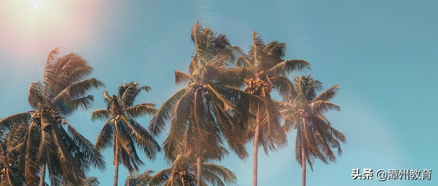 知乎上102个高赞回答，网友直呼：经典！第5条绝了