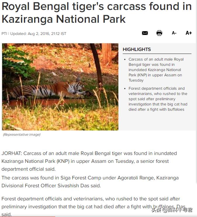 王者也会栽跟头——盘点在野生环境中杀死过成年老虎狮子的动物