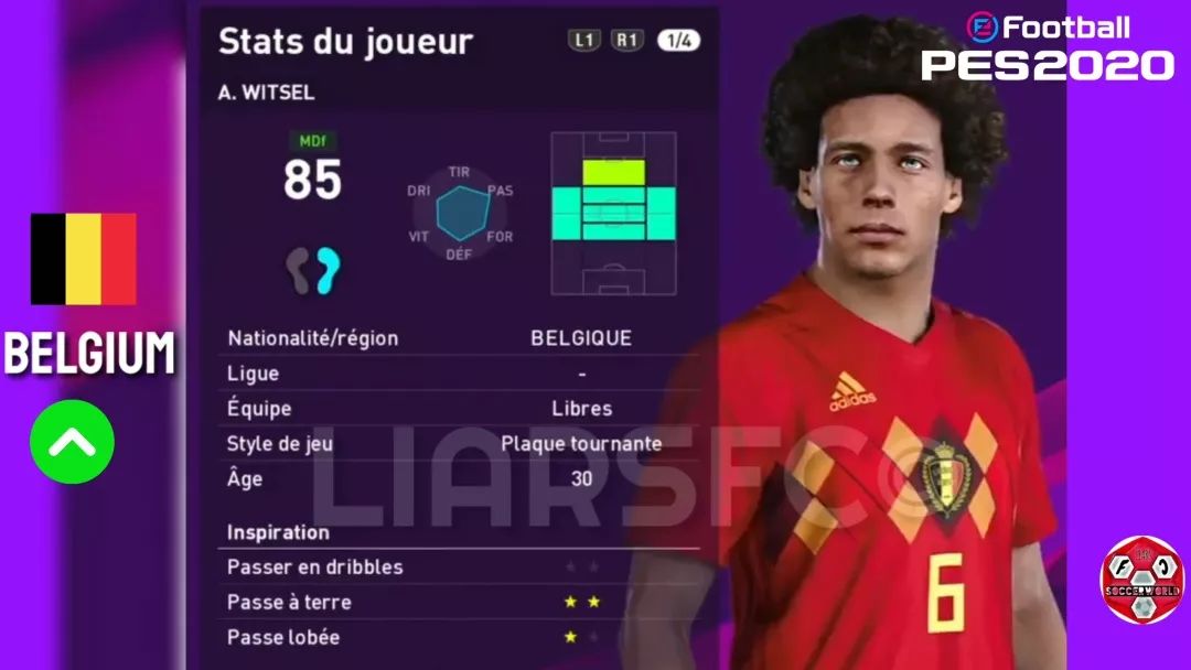 维特塞尔数据,实况足球维特塞尔精选