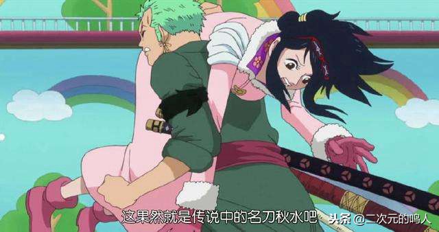 海贼王6个能让索隆服软的女人,索隆和初恋女海军