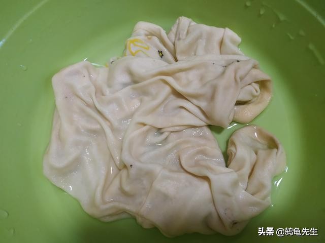 乌龟如何冬眠风险较小,硬币大小的乌龟怎么冬眠