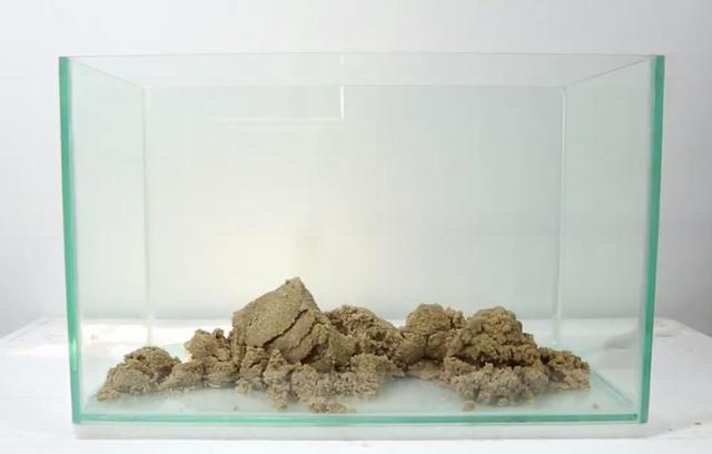 莫斯树到底好不好,莫斯树是什么