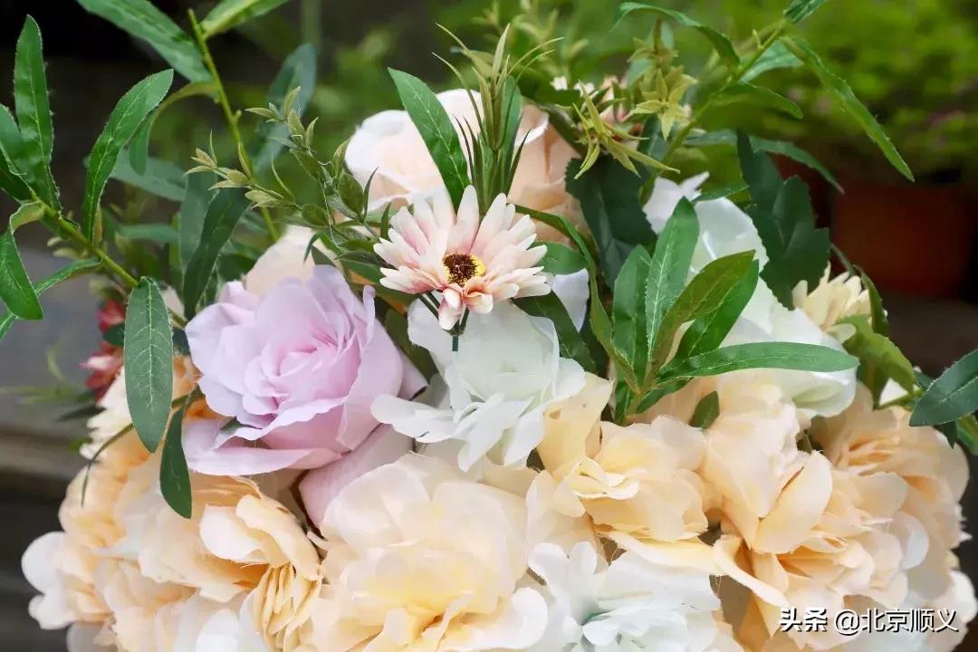 昨日，顺义这场50对新人“集体婚礼”引领婚嫁新风尚！