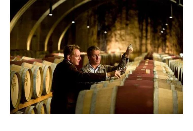 红酒中的“陈道明”，拉菲的产地---波雅克