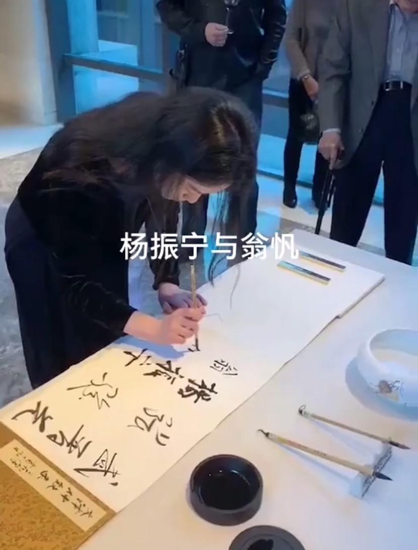 杨振宁与翁帆参加画展,和杨振宁结婚后翁帆的事业状况