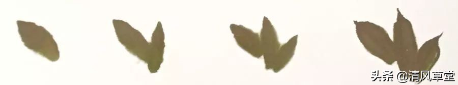 少儿国画花卉画法视频,各种花卉的100种画法