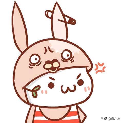 越狱里每个人都有一段心酸史,越狱剧情未解之谜