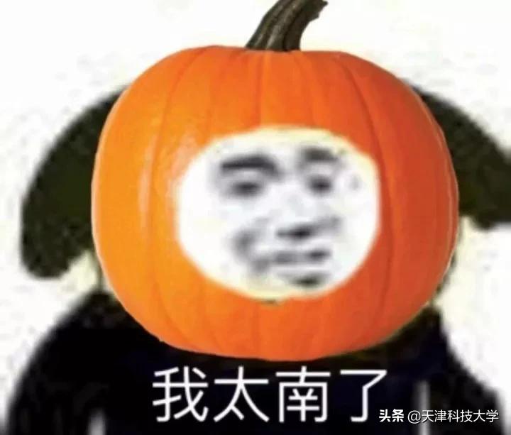 如何提高专注力和记忆力,如何提高专注力