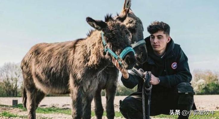 勒沃库森绝杀切尔西,切尔西与勒沃库森交手记录