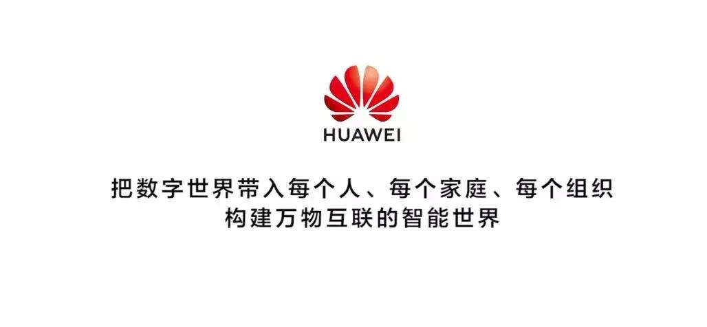 看病毒的视频,看病毒的视频动画片