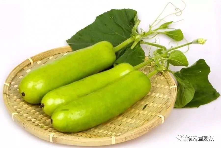 浙江有人吃冬笋中毒,这些常见菜吃错就会中毒