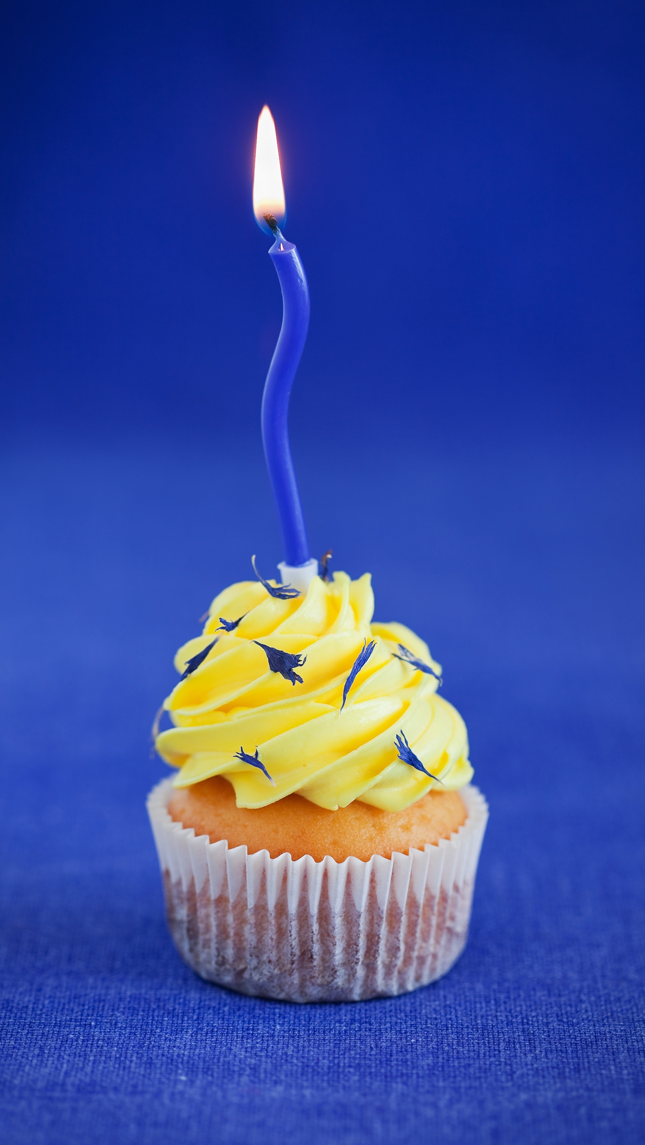 科学上网邂逅4K高清壁纸祝生日快乐贺卡素材，良心无水印系列专辑