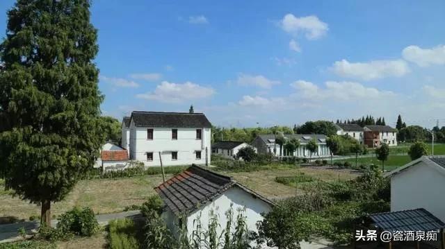 东北农民为什么种地不赚钱,农村种植业的现状及存在的问题