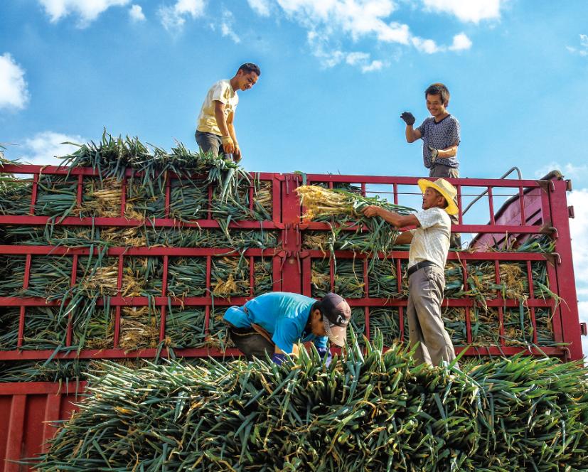 贵州省金融机构数量,贵州最大金融机构