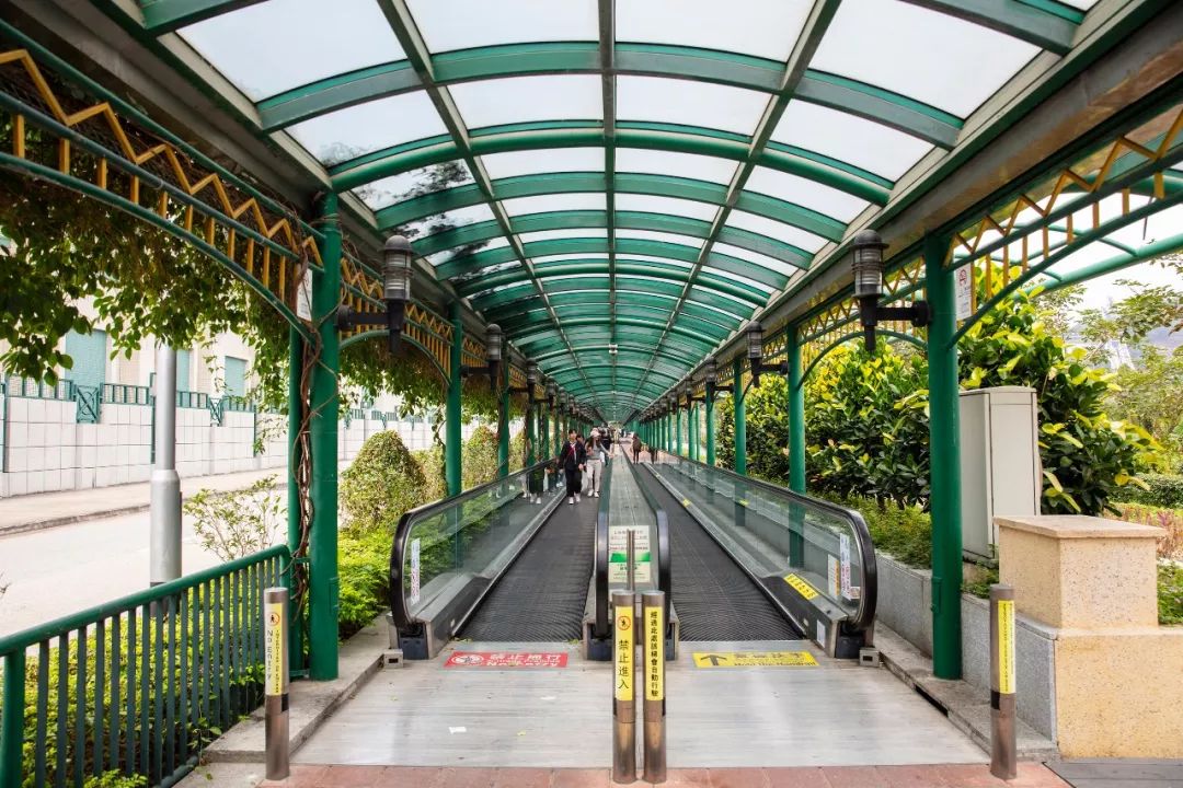 免费游澳门｜除了赌，在澳门大多数地方免费，拿好这份攻略吧