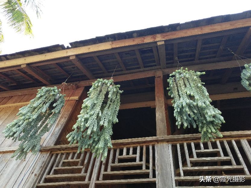 云南西双版纳的傣族园,西双版纳傣族园旅游景区