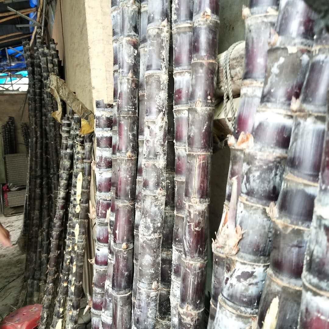 黑心甘蔗的危害,黑心甘蔗有毒吗