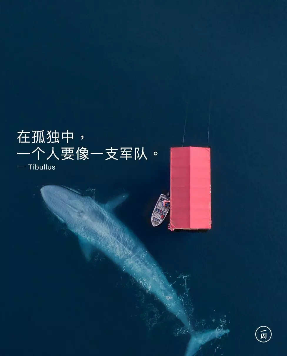 15个神奇又好用的网站,50个超级实用的网站