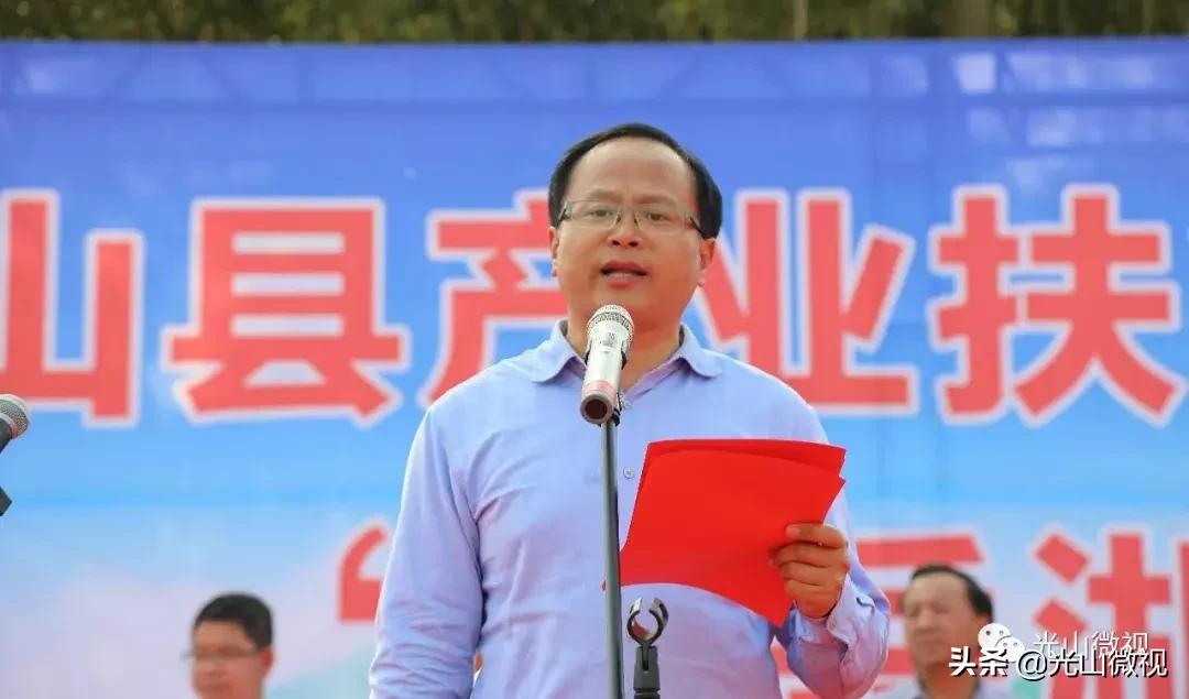 光山斗茶大赛完整版,信阳斗茶大赛获奖