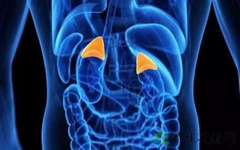 治疗过敏性鼻炎的中成药排名,治疗过敏性鼻炎的喷剂药物有哪些