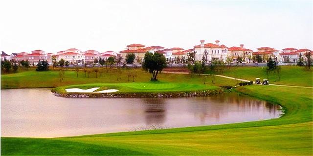 麦克罗伊的挥杆照片,麦克罗伊谈挥杆感受