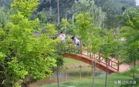 乐亭最美的地方,乐亭县古镇