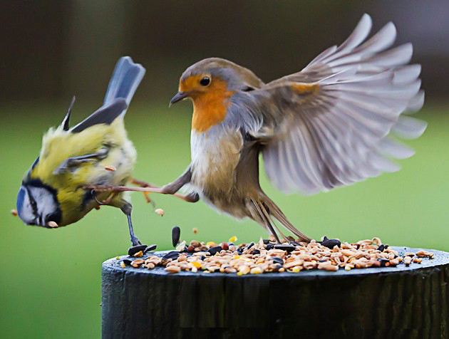 如何理解生命的真相和生命的意义,生命的真谛是什么生命的意义何在