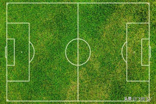 家庭庭院草坪最好种什么品种,庭院草坪草籽哪个品种好